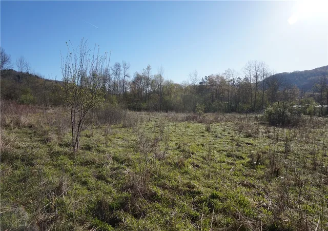 Homes for sale in Bolivar, NY | Co Rd 40 (Reed St), Bolivar, NY 14715 | MLS# R1676643