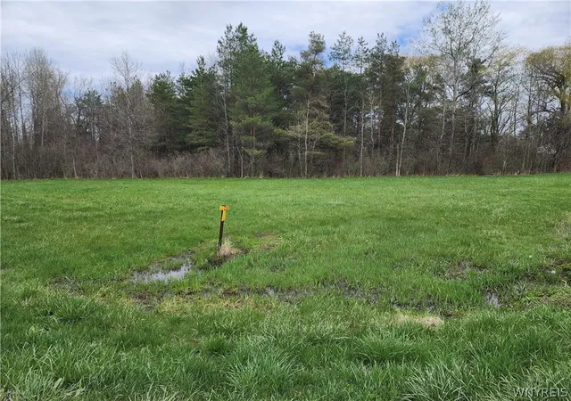 Photo 5 of House for sale at Gabbey Rd, Corfu, NY 14036 | MLS# B1675446 | Listing updated on 2026-07-15
