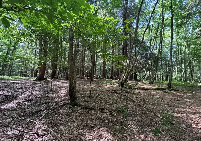 1st image of 5757 State Hwy 7, Oneonta, NY 13820 | MLS# R1675249