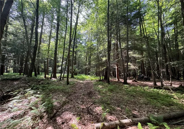 3rd image of 5757 State Hwy 7, Oneonta, NY 13820 | MLS# R1675249