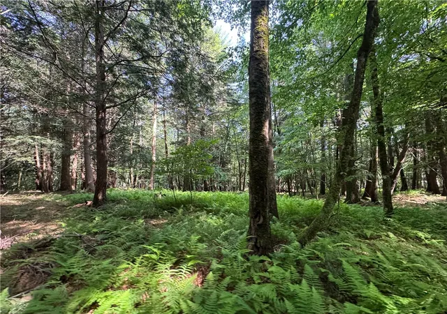 5th image of 5757 State Hwy 7, Oneonta, NY 13820 | MLS# R1675249