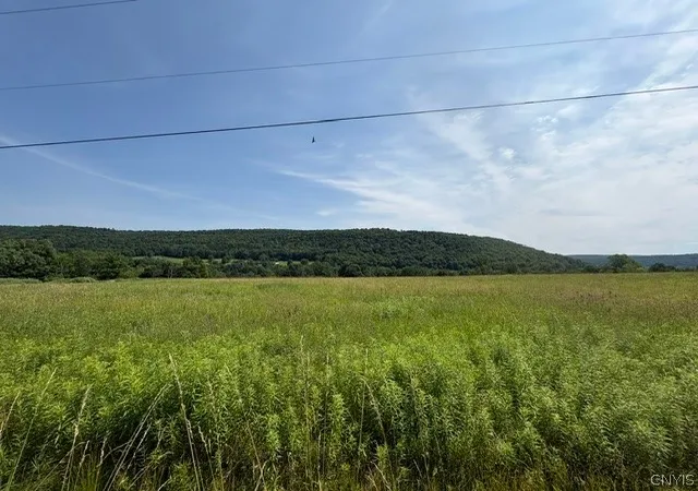 Photo 1 of Land for sale at 3838 Union Valley Rd, De Ruyter, NY 13052 | MLS# S1676636 | Listing updated on 2026-07-13