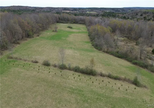 3rd image of Smith-Kingsman Rd, German, NY 13801 | MLS# S1676046