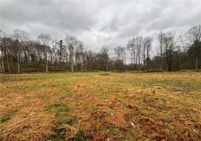 2nd image of 2093 Scott Rd, Lindley, NY 14858 | MLS# R1677035