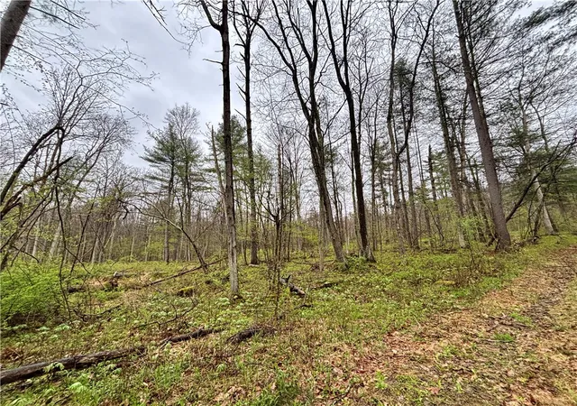 37th image of 2093 Scott Rd, Lindley, NY 14858 | MLS# R1677035