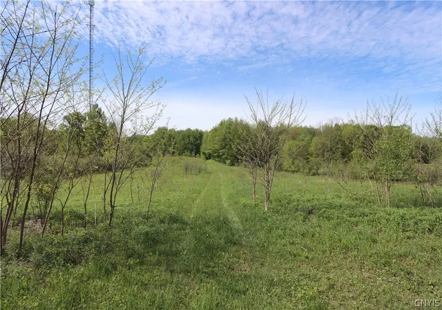 Homes for sale in Boylston, NY | 175 Bremm Rd, Boylston, NY 13083 | MLS# S1677014