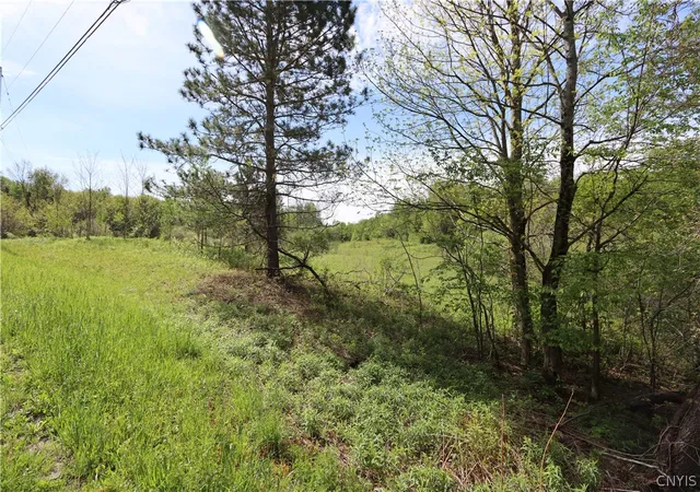 Homes for sale in Boylston, NY | 175 Bremm Rd, Boylston, NY 13083 | MLS# S1677014