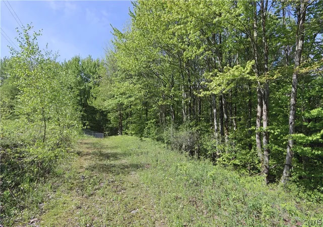 Homes for sale in Boylston, NY | 175 Bremm Rd, Boylston, NY 13083 | MLS# S1677014