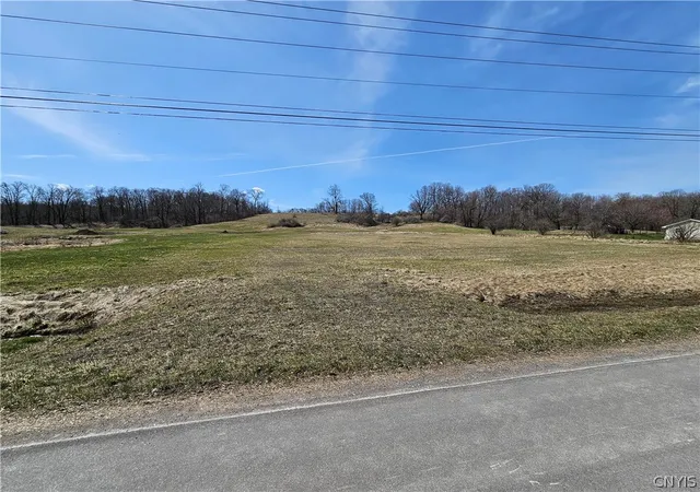Homes for sale in Martinsburg, NY | 7035 State Route 12, Martinsburg, NY 13404 | MLS# S1677551