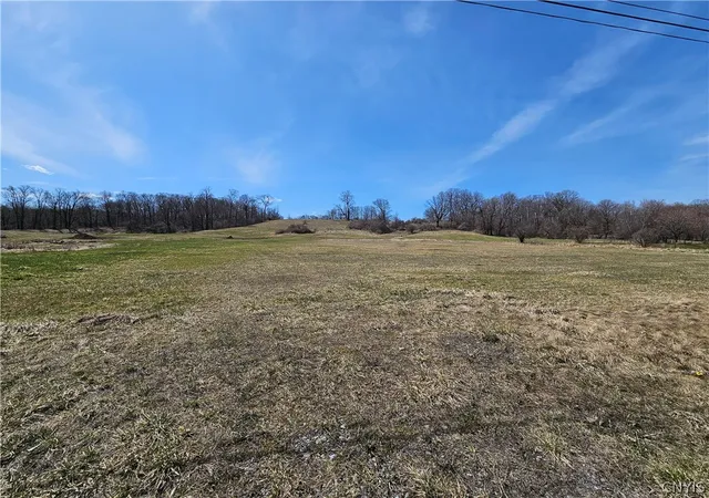 Homes for sale in Martinsburg, NY | 7035 State Route 12, Martinsburg, NY 13404 | MLS# S1677551