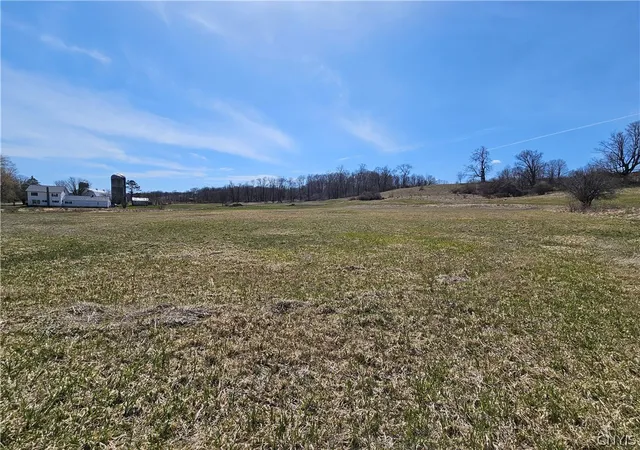 Homes for sale in Martinsburg, NY | 7035 State Route 12, Martinsburg, NY 13404 | MLS# S1677551