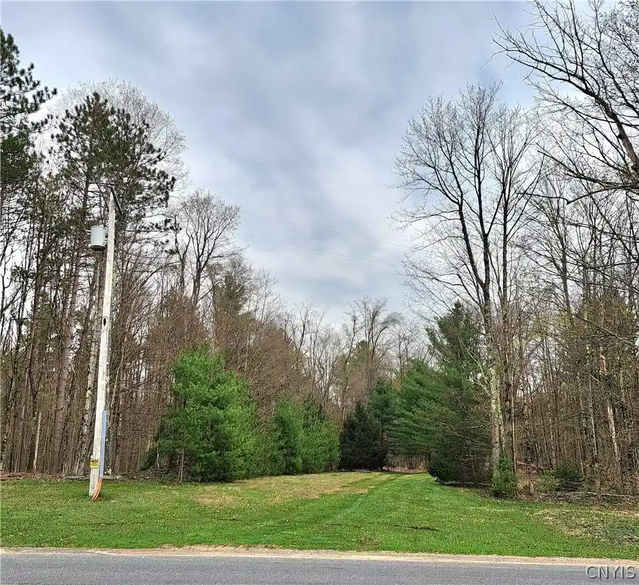 Land for sale at 9636 Steam Ml Rd, Camden, NY 13316 | MLS# S1674521