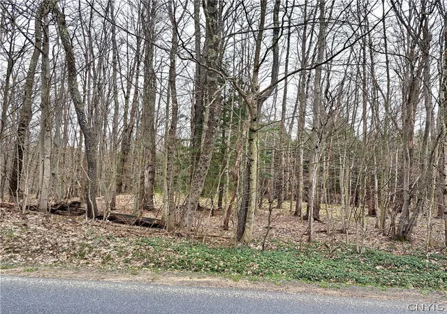 Homes for sale in Camden, NY | Steam Mill Rd, Camden, NY 13316 | MLS# S1674522