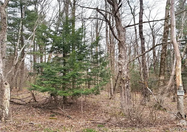 Homes for sale in Camden, NY | Steam Mill Rd, Camden, NY 13316 | MLS# S1674522