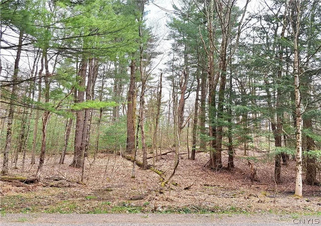 Homes for sale in Camden, NY | Steam Mill Rd, Camden, NY 13316 | MLS# S1674522