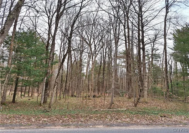 Homes for sale in Camden, NY | Steam Mill Rd, Camden, NY 13316 | MLS# S1674522
