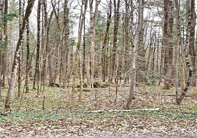 Homes for sale in Camden, NY | Steam Mill Rd, Camden, NY 13316 | MLS# S1674522