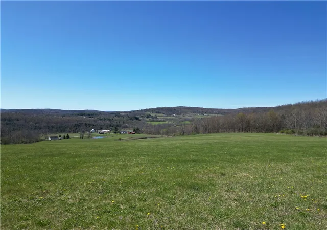 50th image of 4601 County Route 82, Woodhull, NY 14898 | MLS# R1674648