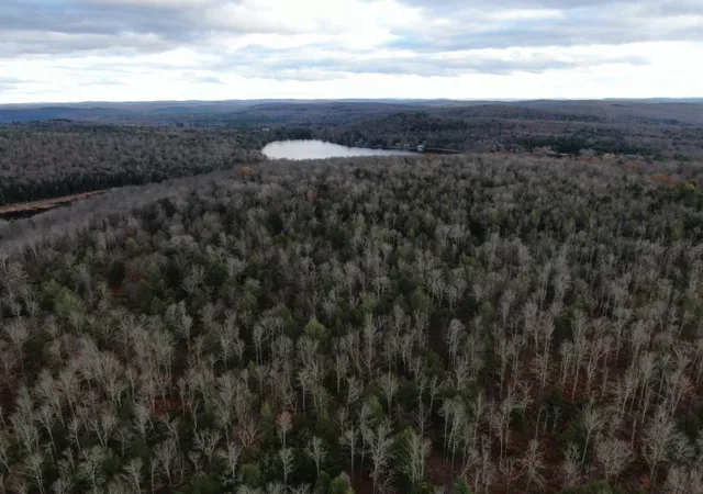 31st image of 140 Round Pond Rd, Smithville Flats, NY 13841 | MLS# R1677823