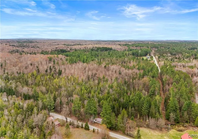 Homes for sale in Ohio, NY | 122 Mill Wood Hill Rd, Ohio, NY 13324 | MLS# S1670531