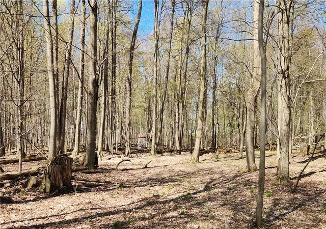 1st image of Straub Rd, Rochester, NY 14626 | MLS# R1675905