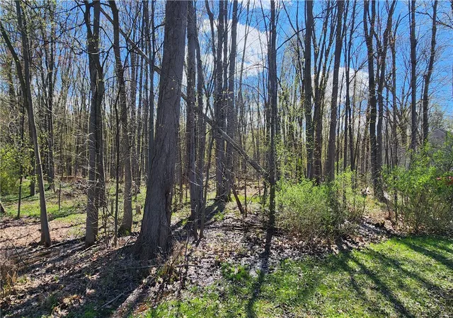 2nd image of Straub Rd, Rochester, NY 14626 | MLS# R1675905