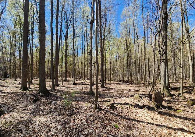 3rd image of Straub Rd, Rochester, NY 14626 | MLS# R1675905