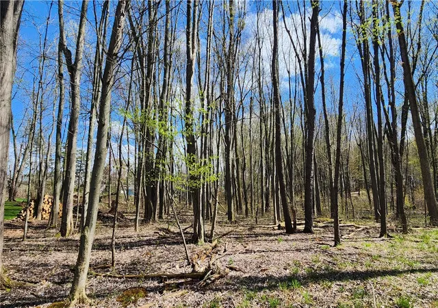 4th image of Straub Rd, Rochester, NY 14626 | MLS# R1675905
