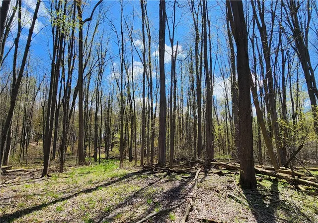 5th image of Straub Rd, Rochester, NY 14626 | MLS# R1675905