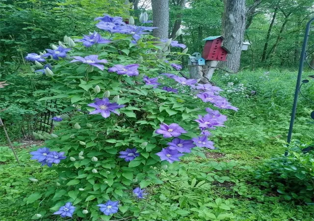50th image of 3498 State Hwy 12, Oxford, NY 13830 | MLS# R1676262