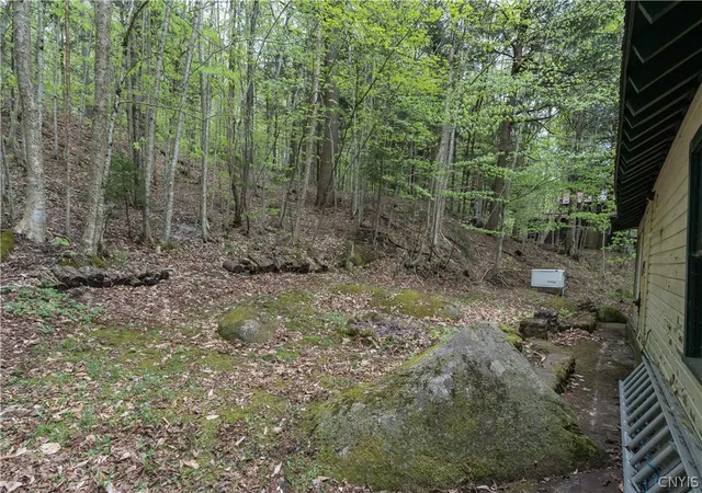 Homes for sale in Forestport, NY | 12962 State Route 28, Forestport, NY 13338 | MLS# S1677820