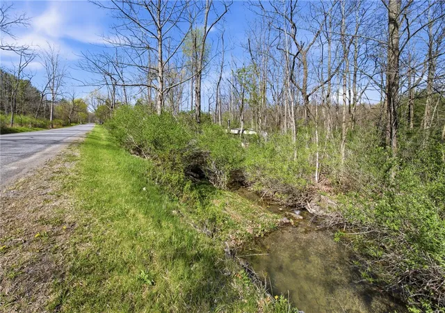 Homes for sale in Jerusalem, NY | 0 Shanty Plains Rd, Jerusalem, NY 14527 | MLS# R1677549