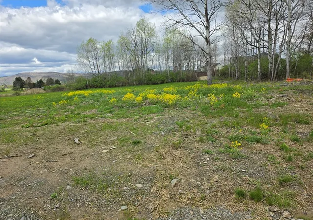 Homes for sale in Big Flats, NY | 19 Keller Dr, Big Flats, NY 14845 | MLS# R1678029