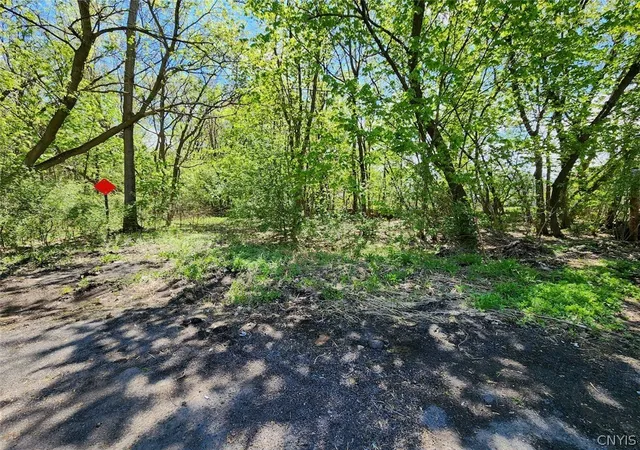 Photo 3 of Land for sale at 040 05 + 06 Maconi Ave, De Witt, NY 13057 | MLS# S1678086 | Listing updated on 2026-07-15