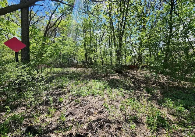 Photo 4 of Land for sale at 040 05 + 06 Maconi Ave, De Witt, NY 13057 | MLS# S1678086 | Listing updated on 2026-07-15