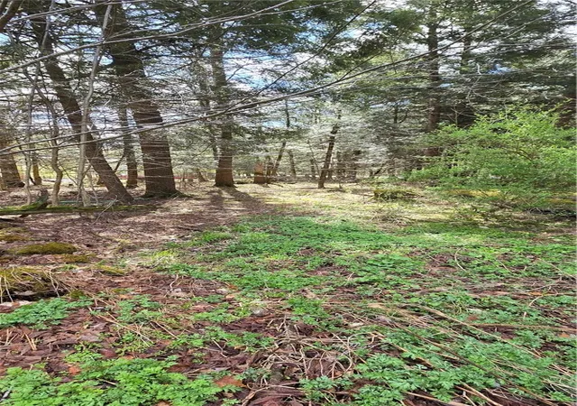 1st image of Bliss Gulf Rd, Milford, NY 13807 | MLS# R1678303
