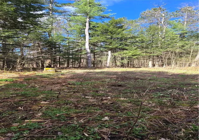 2nd image of Bliss Gulf Rd, Milford, NY 13807 | MLS# R1678303
