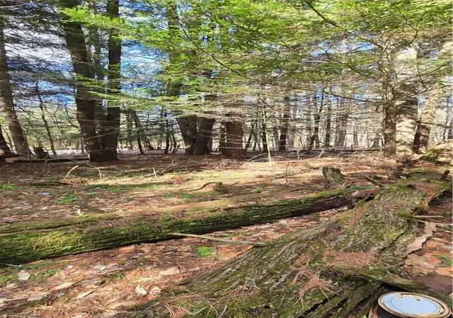 3rd image of Bliss Gulf Rd, Milford, NY 13807 | MLS# R1678303