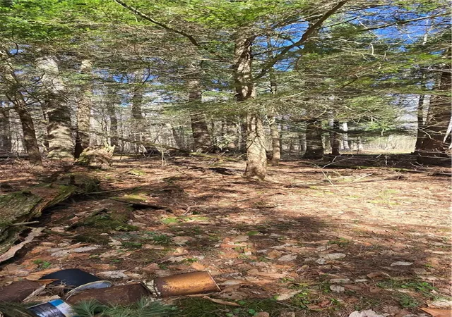 4th image of Bliss Gulf Rd, Milford, NY 13807 | MLS# R1678303