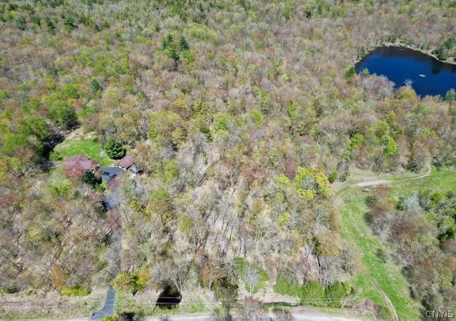 Homes for sale in Amboy, NY | 00 N Hillsborough Rd, Amboy, NY 13316 | MLS# S1678300