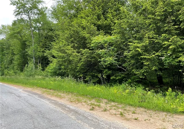 Homes for sale in Amboy, NY | 00 N Hillsborough Rd, Amboy, NY 13316 | MLS# S1678300