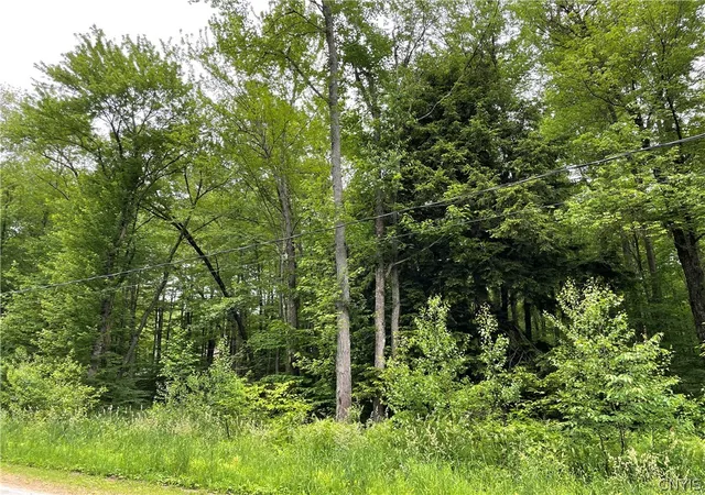 Homes for sale in Amboy, NY | 00 N Hillsborough Rd, Amboy, NY 13316 | MLS# S1678300