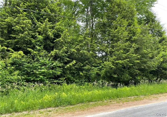 Homes for sale in Amboy, NY | 00 N Hillsborough Rd, Amboy, NY 13316 | MLS# S1678300