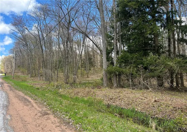 Homes for sale in Amboy, NY | 00 N Hillsborough Rd, Amboy, NY 13316 | MLS# S1678300