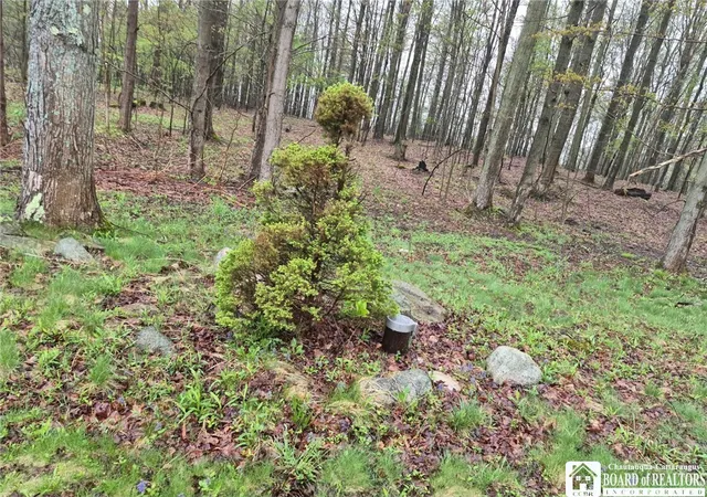 17th image of 2552 Thornton Rd, Sinclairville, NY 14782 | MLS# R1678091