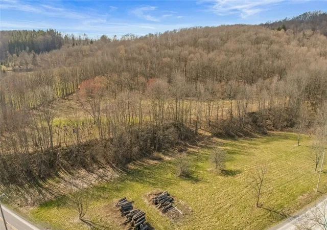 Homes for sale in Summit, NY | L9111 Lutheranville Rd, Summit, NY 12064 | MLS# R1678076
