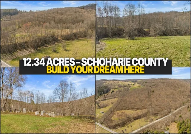 Homes for sale in Summit, NY | L9111 Lutheranville Rd, Summit, NY 12064 | MLS# R1678076