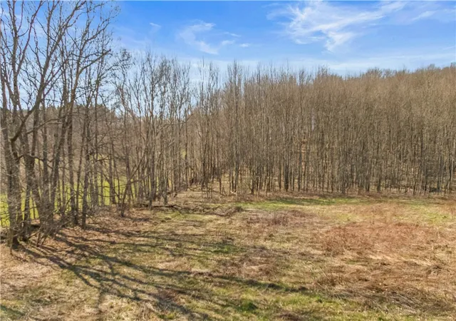Homes for sale in Summit, NY | L9113 Lutheranville Rd, Summit, NY 12064 | MLS# R1678079