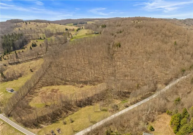 Homes for sale in Summit, NY | L9113 Lutheranville Rd, Summit, NY 12064 | MLS# R1678079