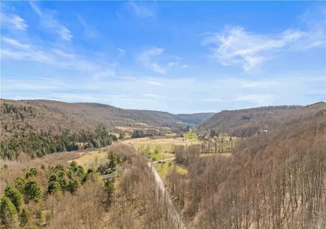 3rd image of L9113 Lutheranville Rd, Summit, NY 12064 | MLS# R1678079